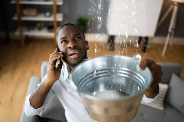 Best Water damage contractors near me  in Brewster, WA
