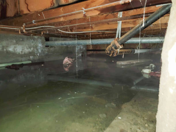 Best Basement water damage restoration  in Brewster, WA