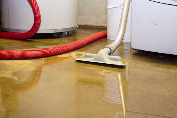 Best Water damage cleanup near me  in Brewster, WA