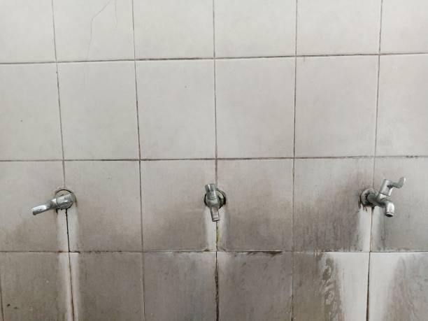 Best Basement water damage restoration  in Brewster, WA