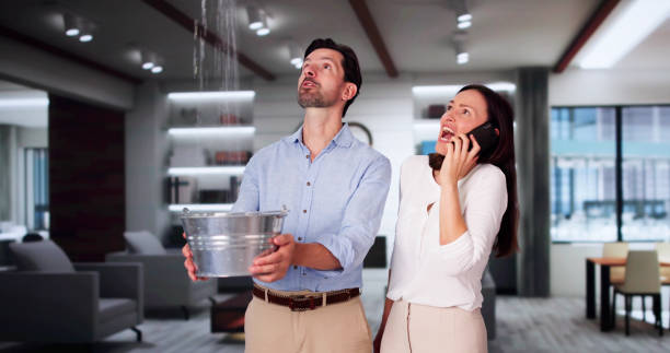 Best Water damage cleanup near me  in Brewster, WA